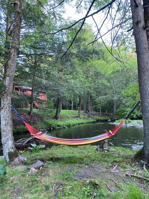 Peaceful Gateway To Island Creek Cottage East Stroudsburg Exteriör bild
