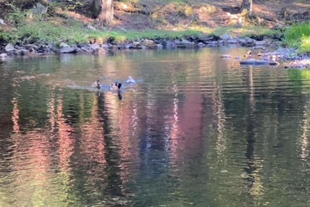 Peaceful Gateway To Island Creek Cottage East Stroudsburg Exteriör bild