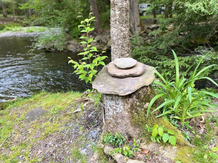 Peaceful Gateway To Island Creek Cottage East Stroudsburg Exteriör bild