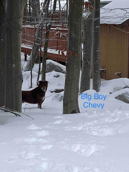 Peaceful Gateway To Island Creek Cottage East Stroudsburg Exteriör bild